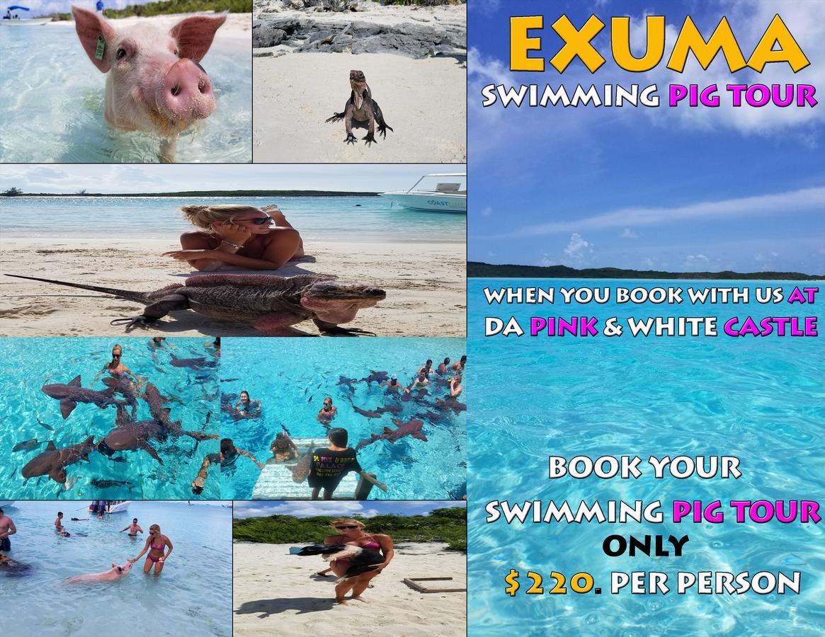 Da Pink And White Castle Bed & Breakfast Nassau
